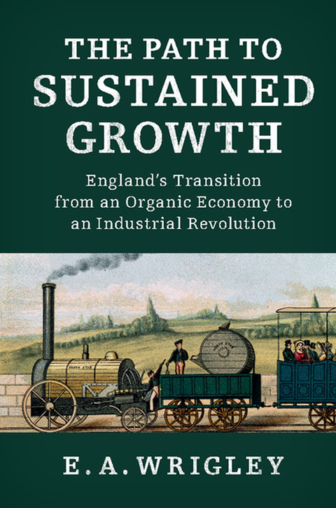Cover image for book The Path to Sustained Growth