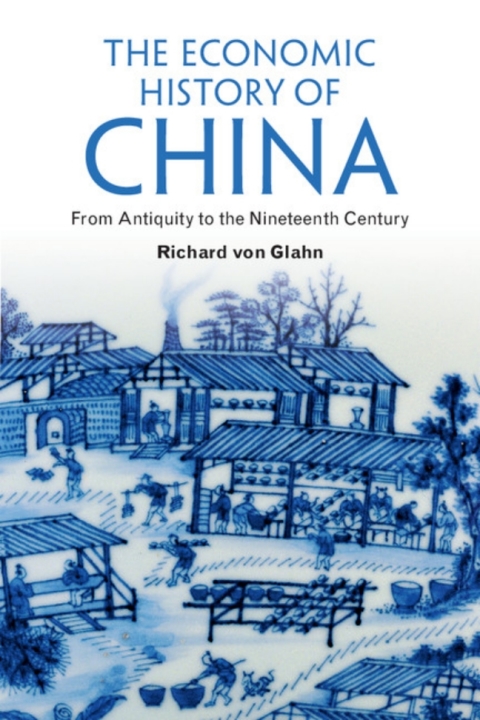 Cover image for book The Economic History of China