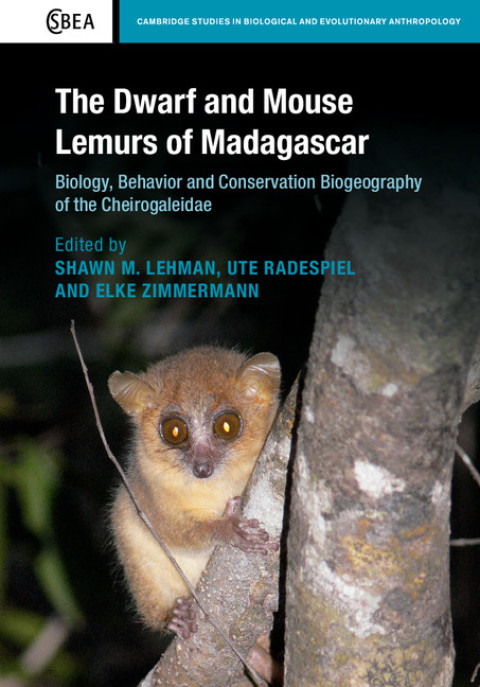 Cover image for book The Dwarf and Mouse Lemurs of Madagascar