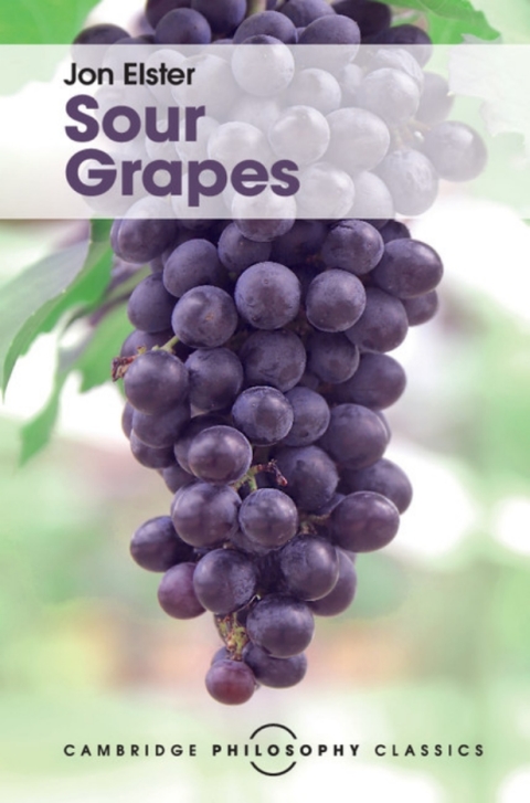 Cover image for book Sour Grapes