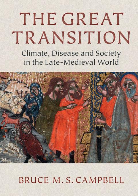 Cover image for book The Great Transition