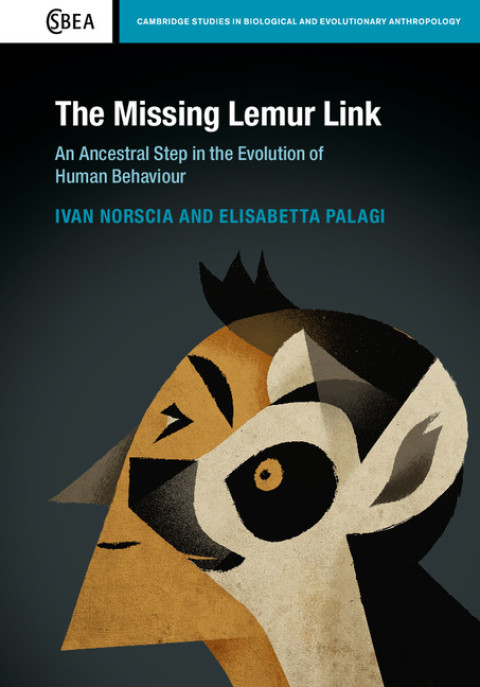 Cover image for book The Missing Lemur Link