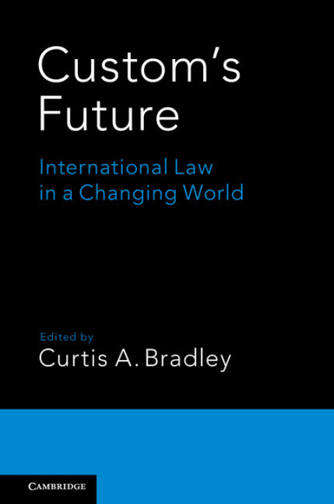 Cover image for book Custom's Future