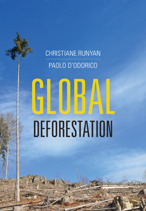 Cover image for book Global Deforestation