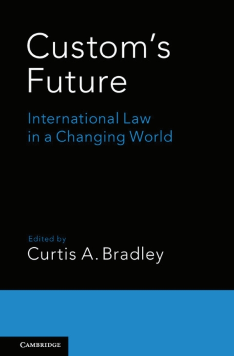 Cover image for book Custom's Future