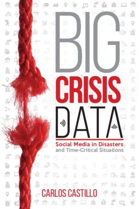 Cover image for book Big Crisis Data