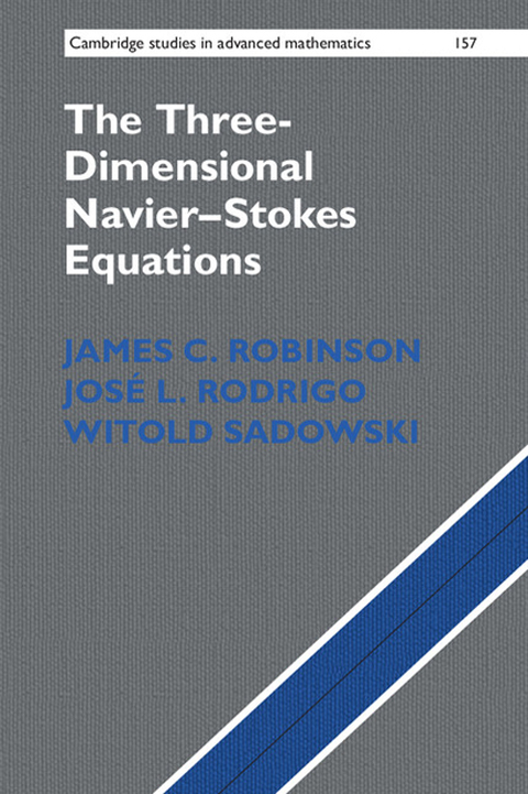 The Three-Dimensional NavierâStokes Equations 