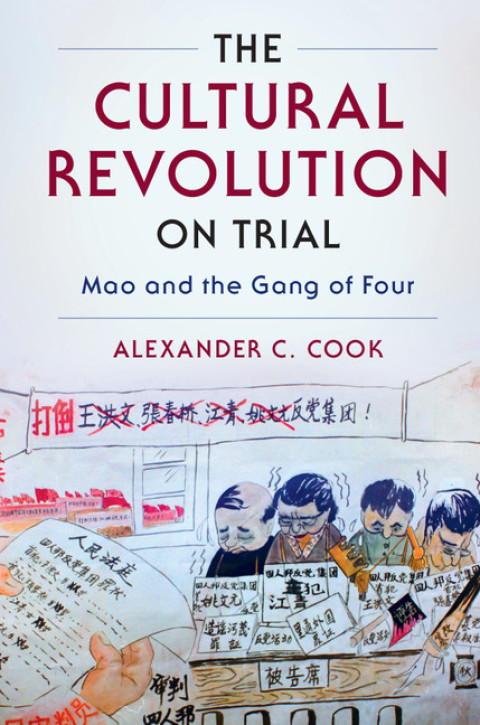 Cover image for book The Cultural Revolution on Trial
