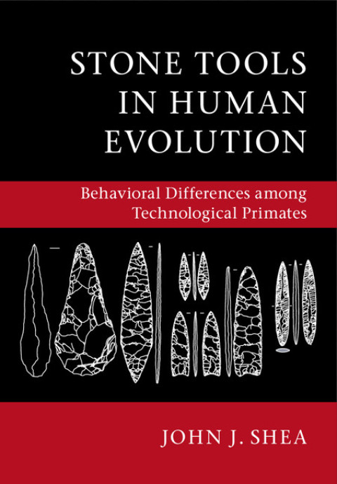 Cover image for book Stone Tools in Human Evolution