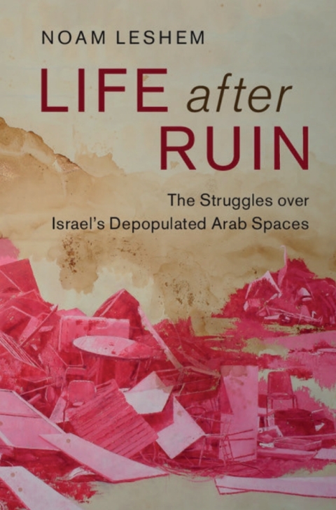 Cover image for book Life after Ruin