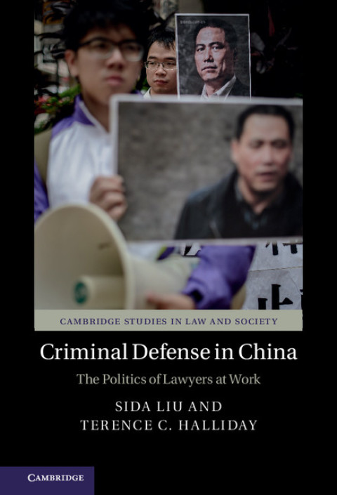 Cover image for book Criminal Defense in China