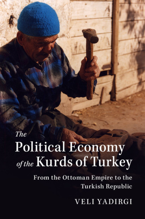 Cover image for book The Political Economy of the Kurds of Turkey