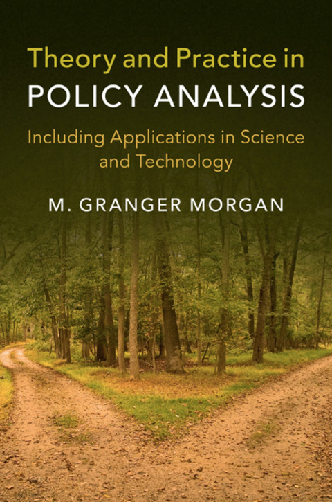 Cover image for book Theory and Practice in Policy Analysis