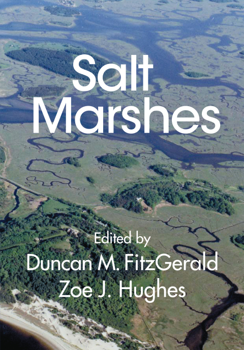 Cover image for book Salt Marshes