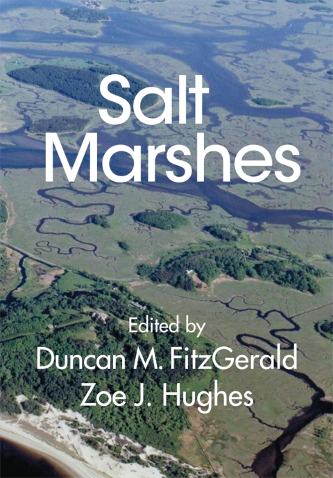 Cover image for book Salt Marshes