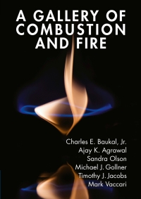 Cover image: A Gallery of Combustion and Fire 9781107154971