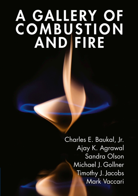 Cover image for book A Gallery of Combustion and Fire