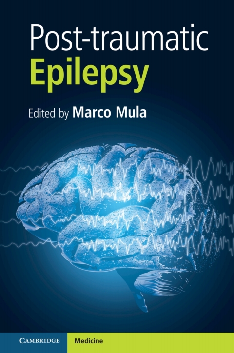 Cover image for book Post-traumatic Epilepsy, Part 1