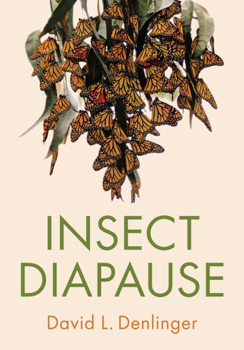 Cover image for book Insect Diapause