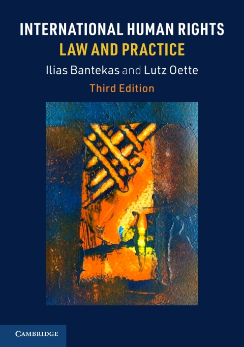 Cover image for book International Human Rights Law and Practice