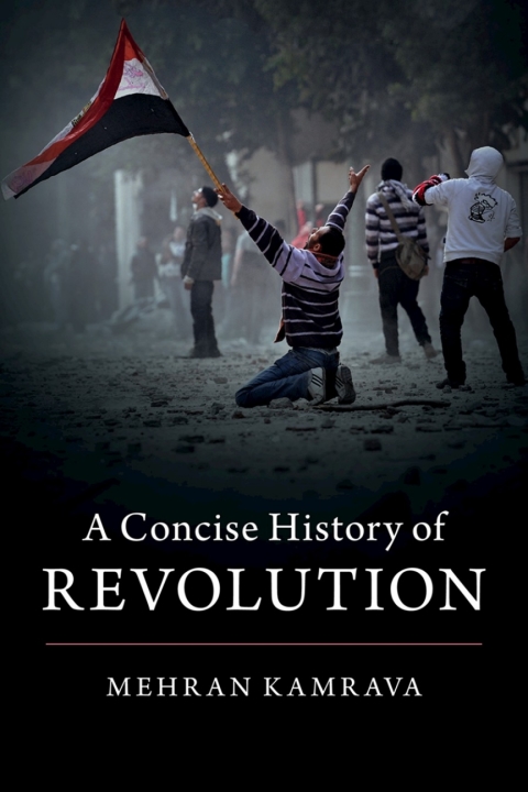 Cover image for book A Concise History of Revolution