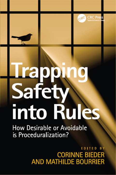 Cover image for book Trapping Safety into Rules