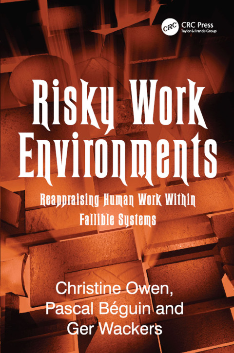 Cover image for book Risky Work Environments