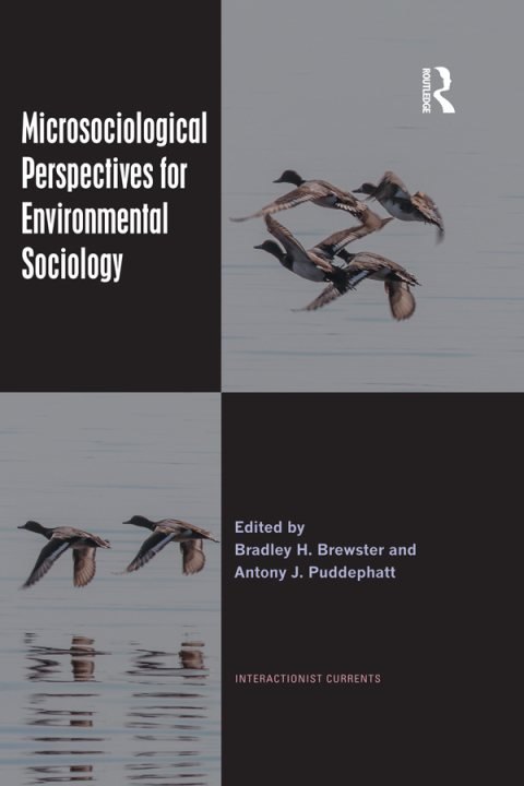 Microsociological Perspectives for Environmental Sociology 