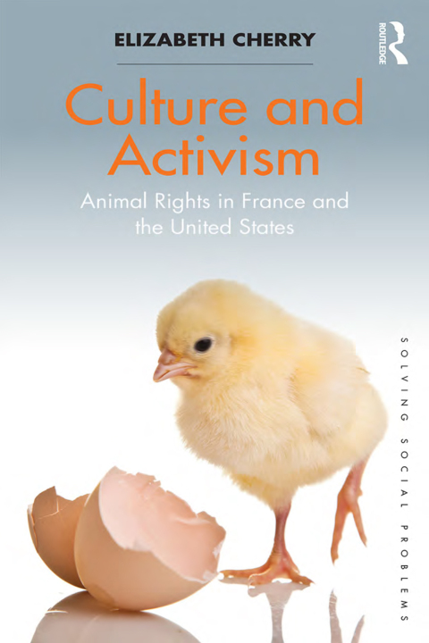 Cover image for book Culture and Activism