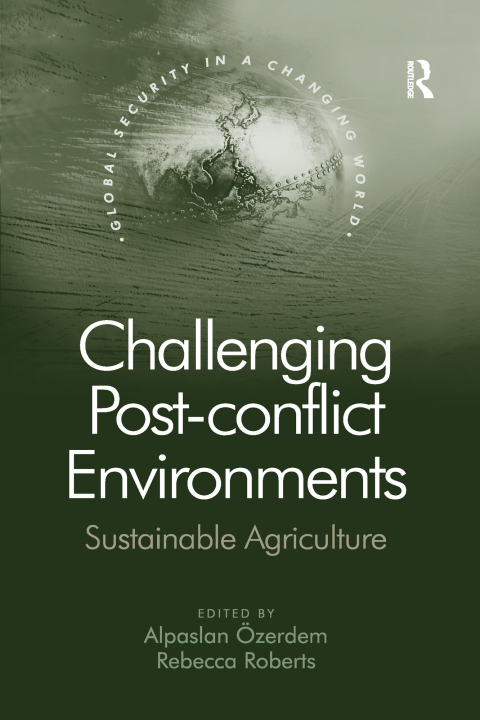 Cover image for book Challenging Post-conflict Environments