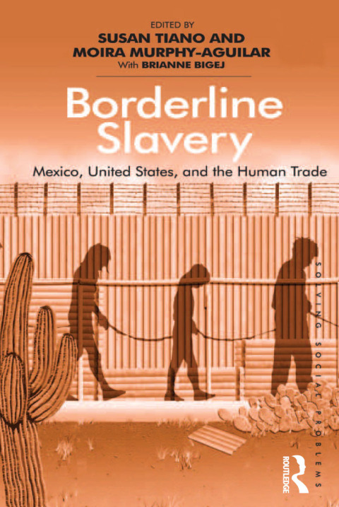 Cover image for book Borderline Slavery