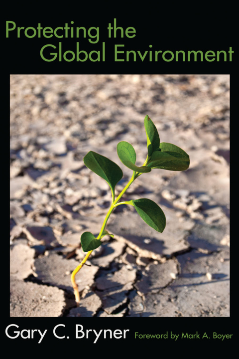 Cover image for book Protecting the Global Environment