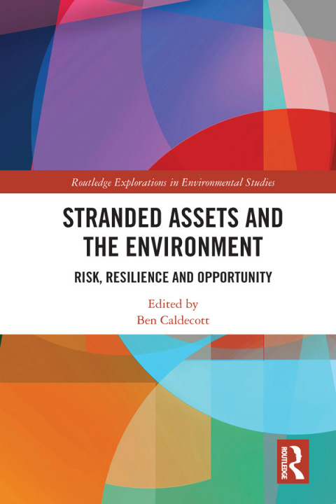 Cover image for book Stranded Assets and the Environment