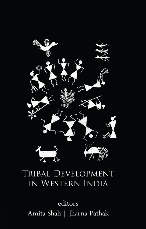 Cover image for book Tribal Development in Western India