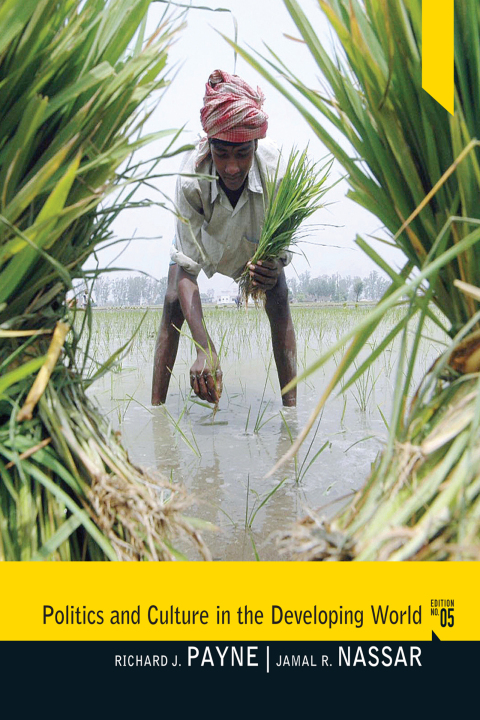 Cover image for book Politics and Culture in the Developing World