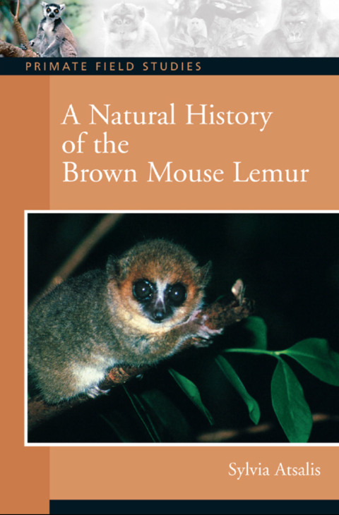 Cover image for book A Natural History of the Brown Mouse Lemur
