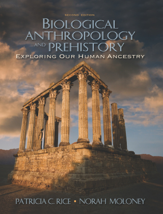 Biological Anthropology and Prehistory