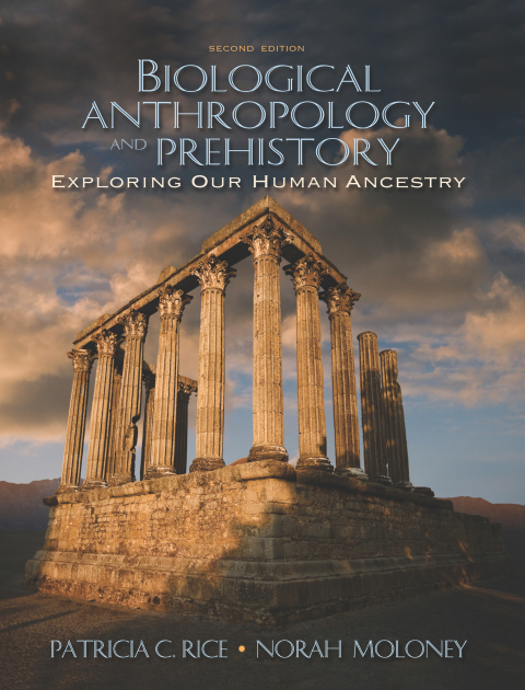 Cover image for book Biological Anthropology and Prehistory