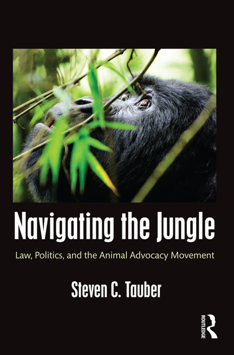 Cover image for book Navigating the Jungle