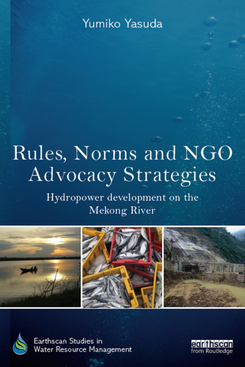 Cover image for book Rules, Norms and NGO Advocacy Strategies