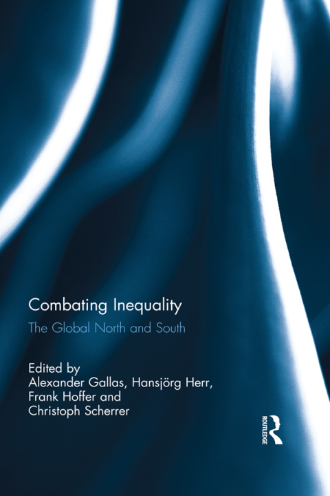 Cover image for book Combating Inequality