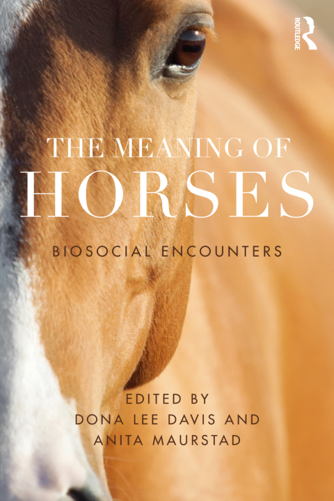 Cover image for book The Meaning of Horses