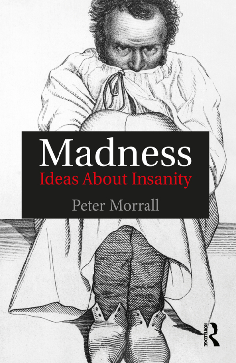 Cover image for book Madness