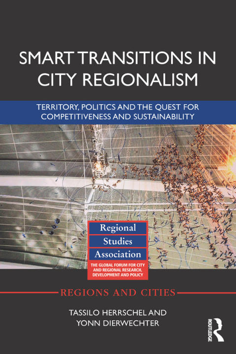Cover image for book Smart Transitions in City Regionalism
