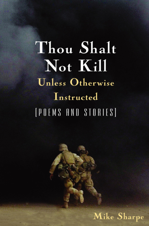 Cover image for book Thou Shalt Not Kill Unless Otherwise Instructed