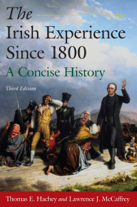 صورة الغلاف: The Irish Experience Since 1800: A Concise History 3rd edition 9780765625106