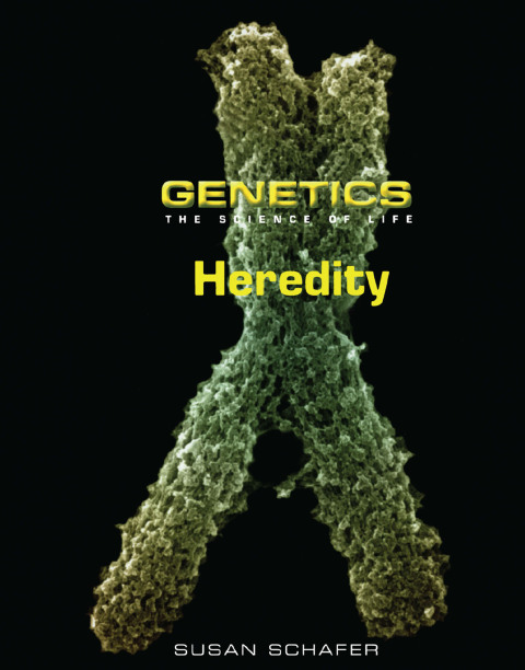 Cover image for book Heredity