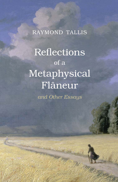 Cover image for book Reflections of a Metaphysical Flaneur