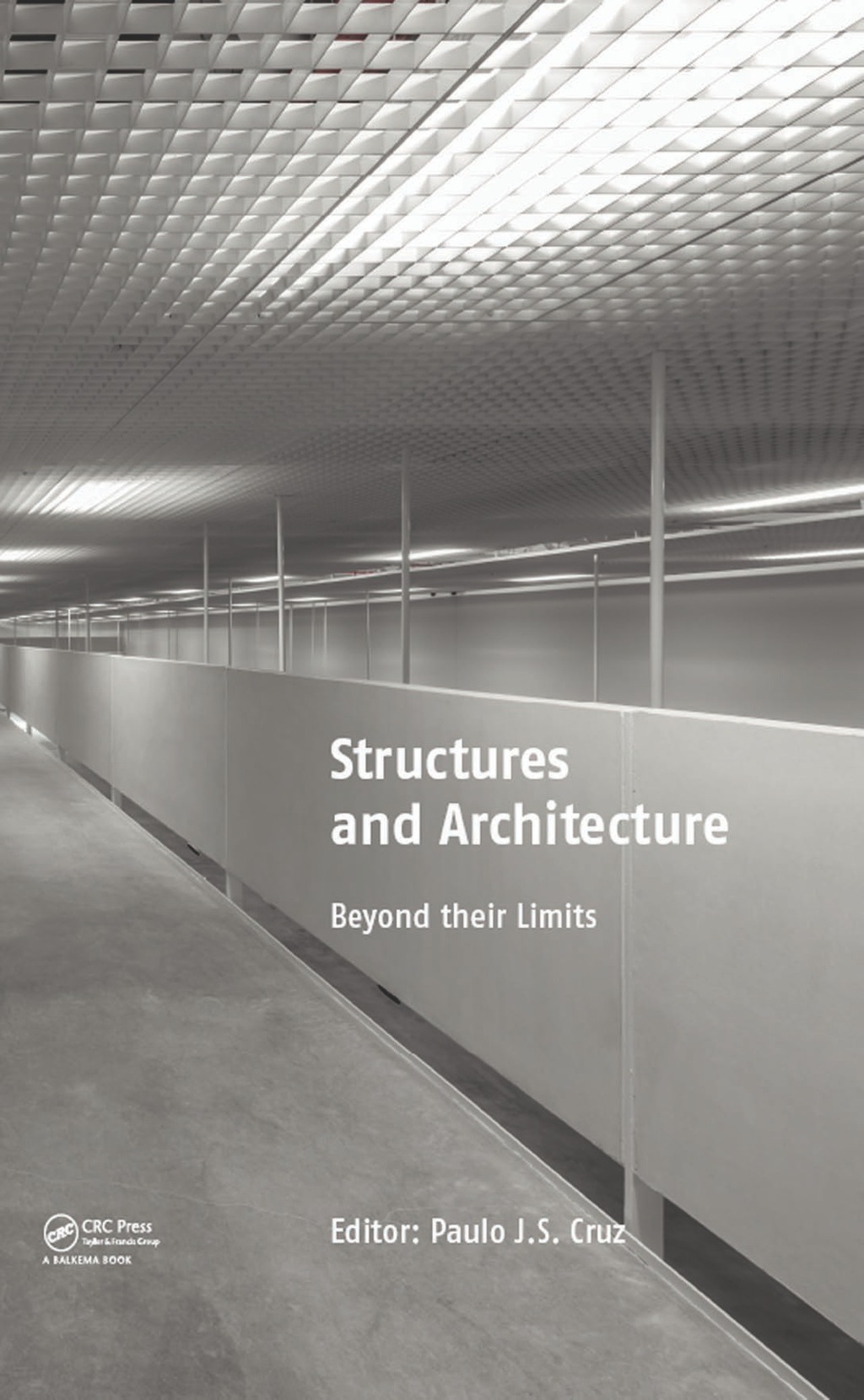 Structures and Architecture - 1st Edition (eBook)