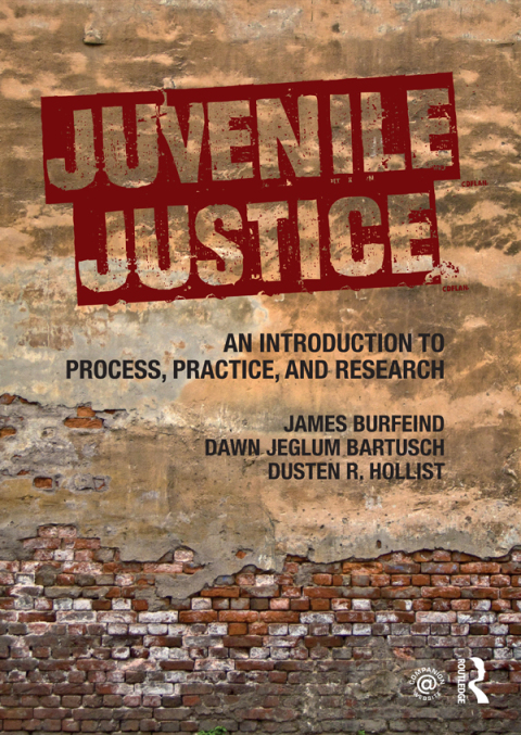 Cover image for book Juvenile Justice